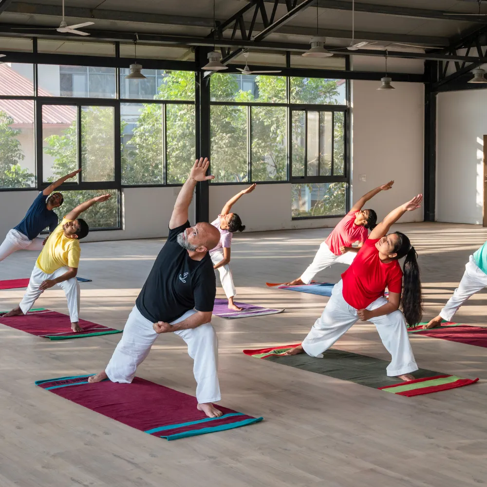 Daily Yoga Classes 1