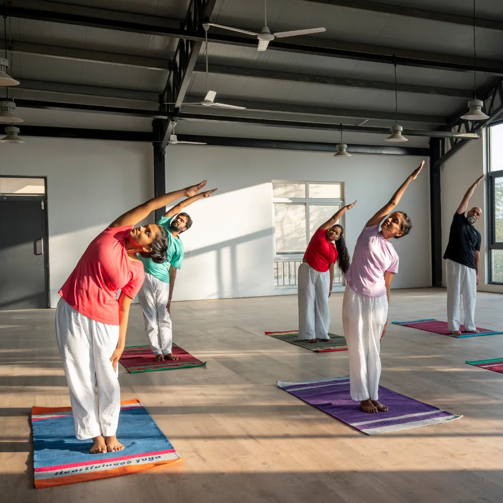 Daily Yoga Classes 2